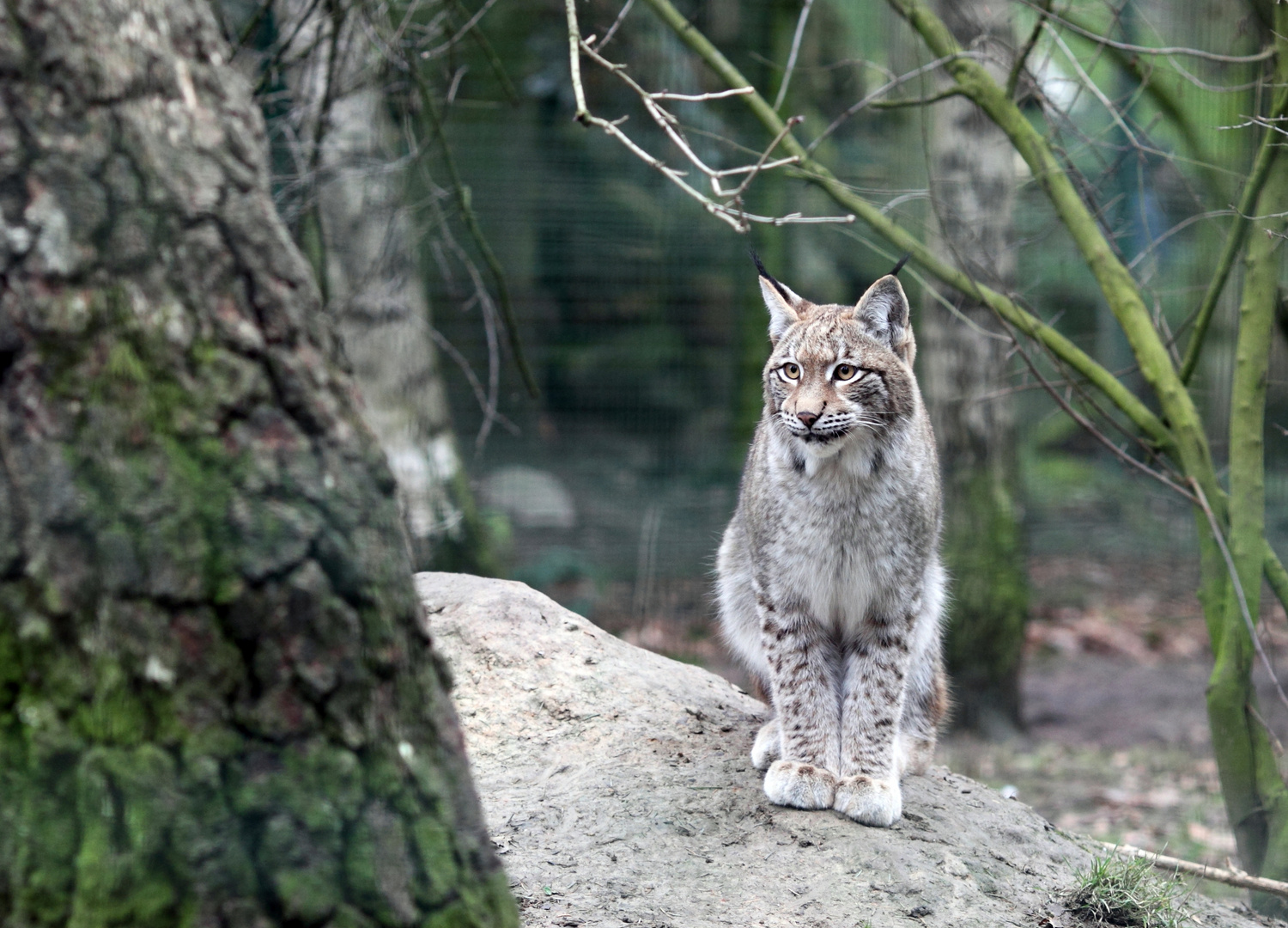 Tierpark Essehof