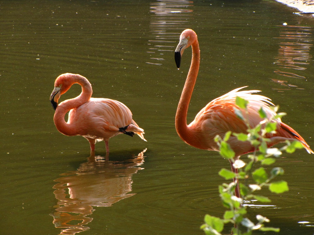 Tierpark