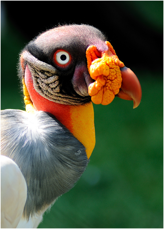 Tierpark Friedrichsfelde #04/09