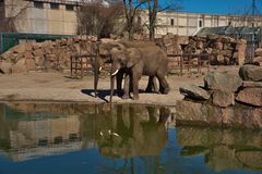 Tierpark Friedrichsfelde