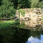 Tierpark Friedrichsfelde