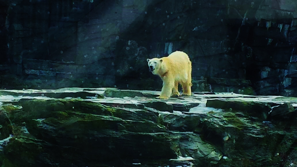 Tierpark Friedrichsfelde