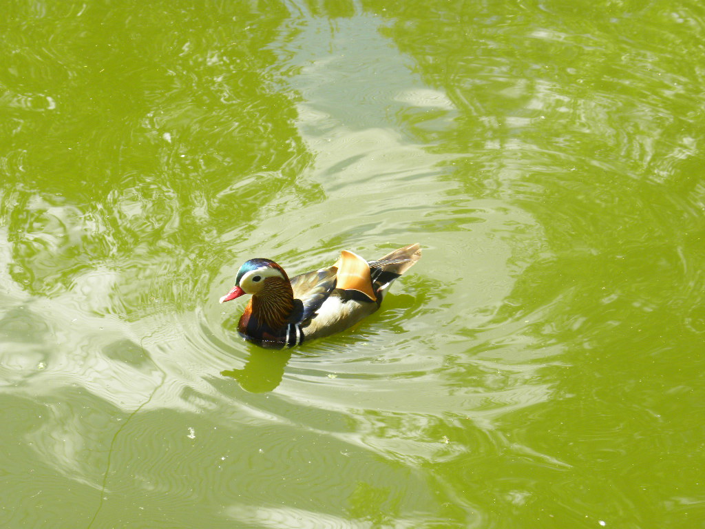 Tierpark Germendorf