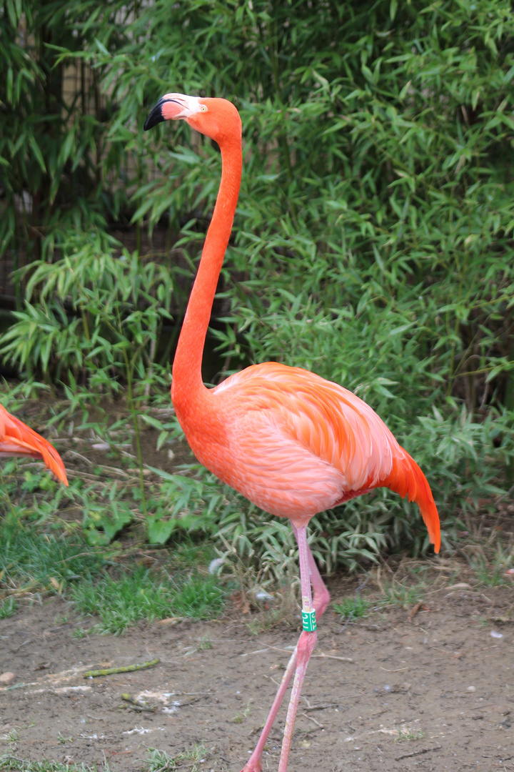 Tierpark Göppingen