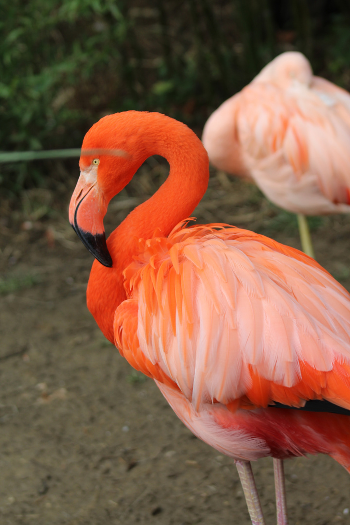 Tierpark Göppingen