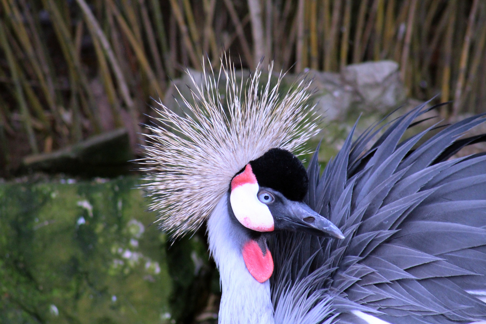 Tierpark Göppingen