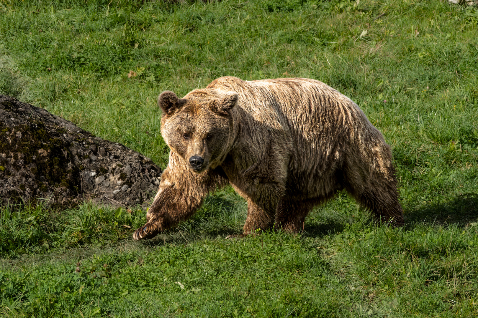 Tierpark Goldau 1/3