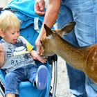 Tierpark Goldau 18.9.2012 – 040