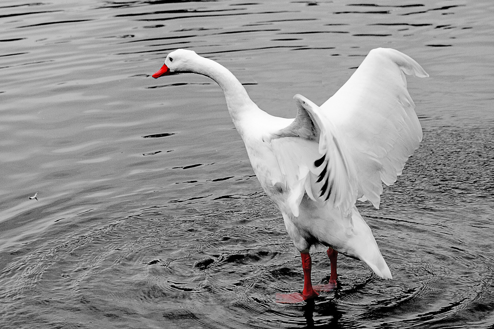 Tierpark Goldau