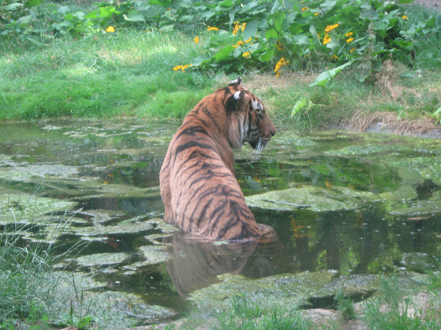 Tierpark Gotha.....