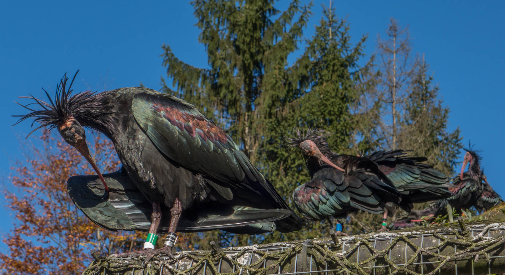 Tierpark Grünau