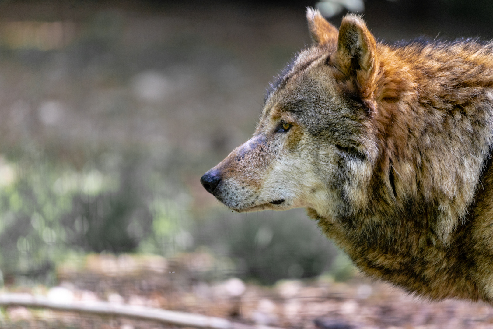 Tierpark Haag