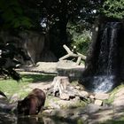 Tierpark Hagenbeck 1