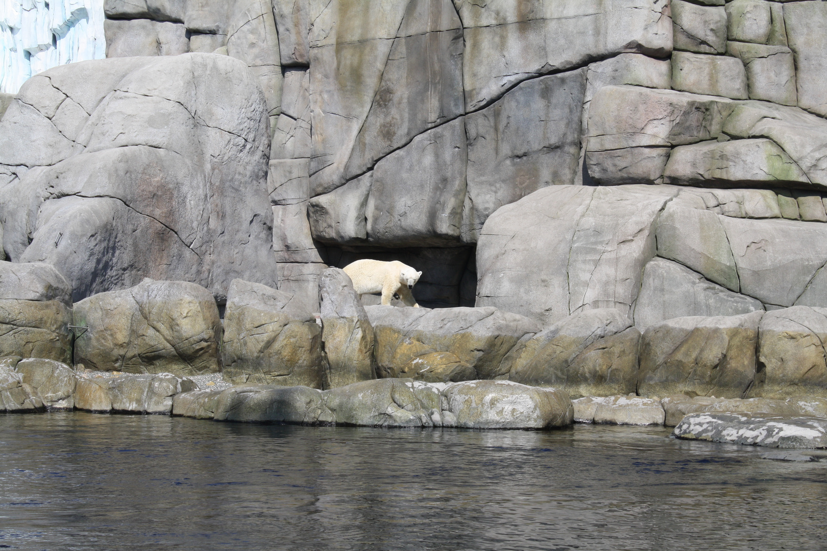 Tierpark Hagenbeck 13