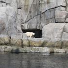 Tierpark Hagenbeck 13