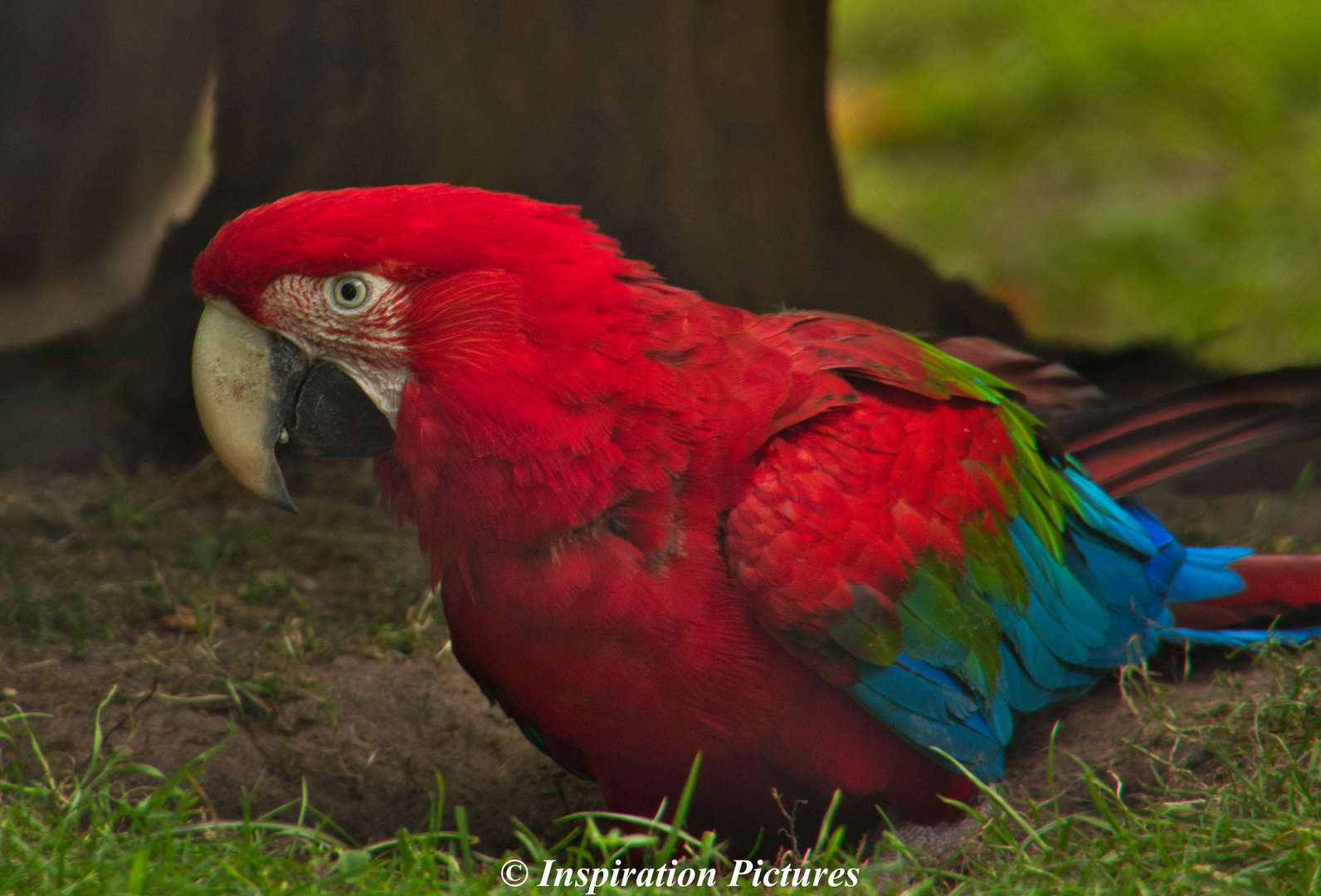 Tierpark Hagenbeck