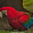 Tierpark Hagenbeck