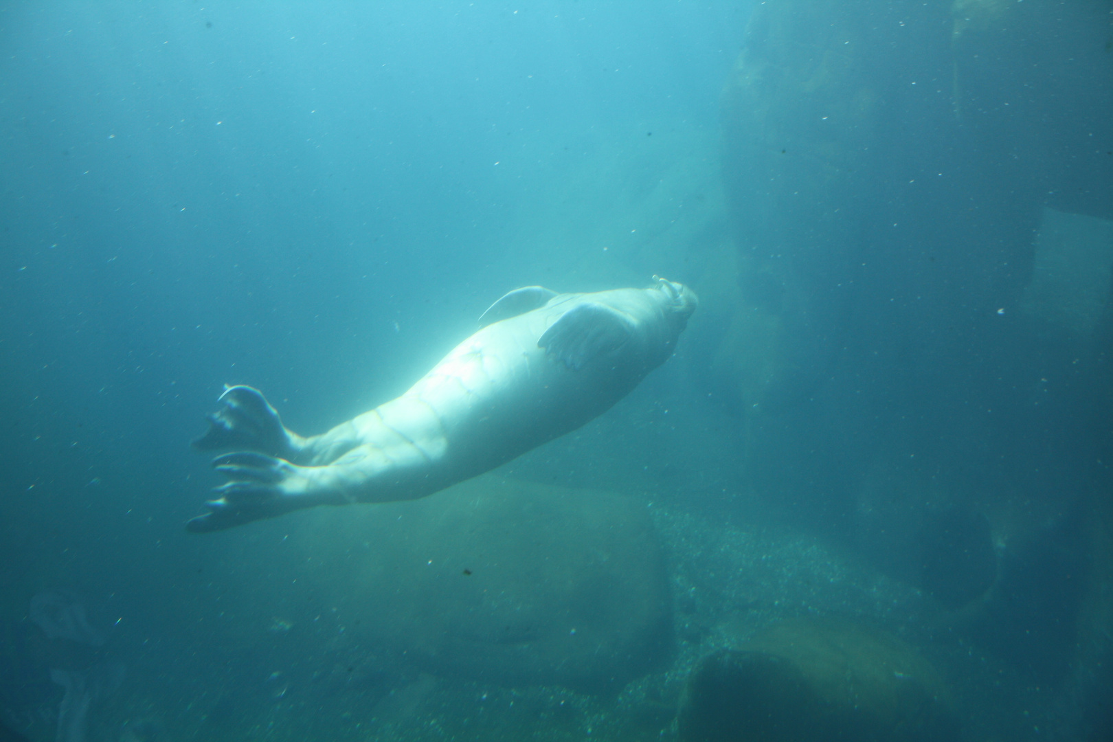 Tierpark Hagenbeck 9