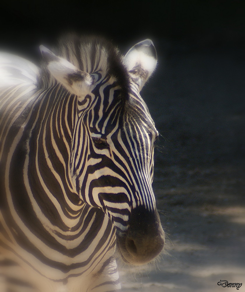 Tierpark Hagenbeck