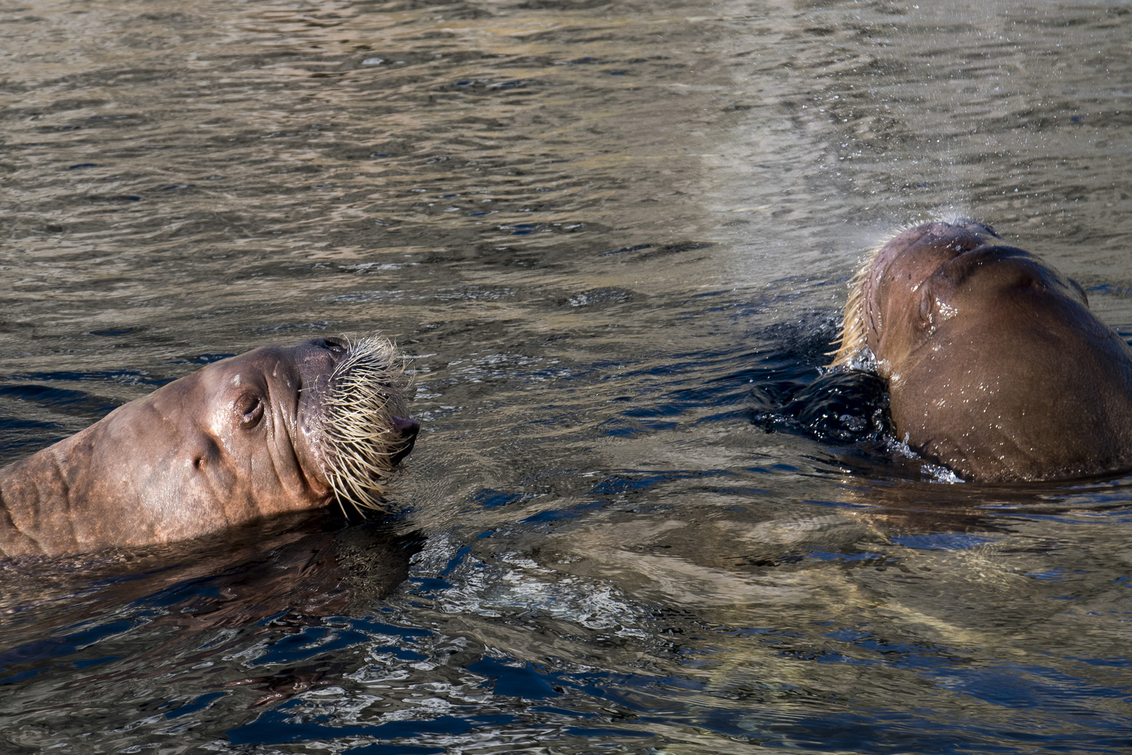 Tierpark Hagenbeck im Oktober