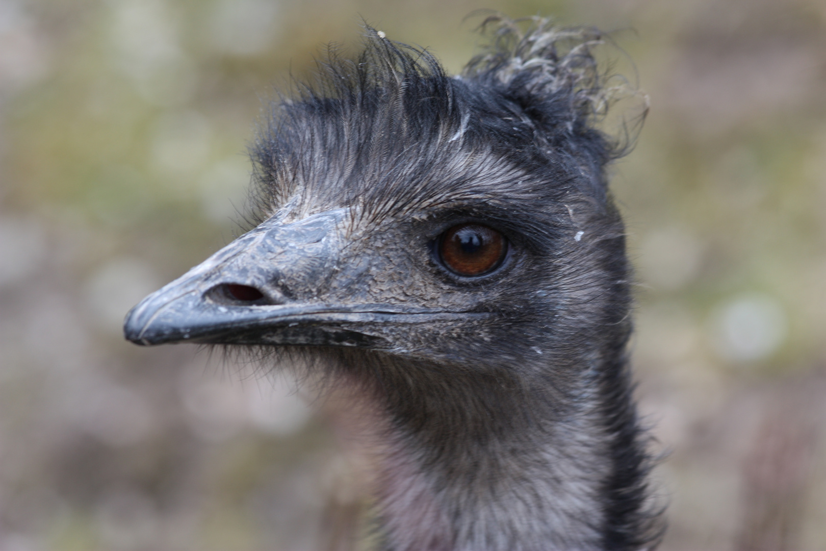 Tierpark Hellabrunn