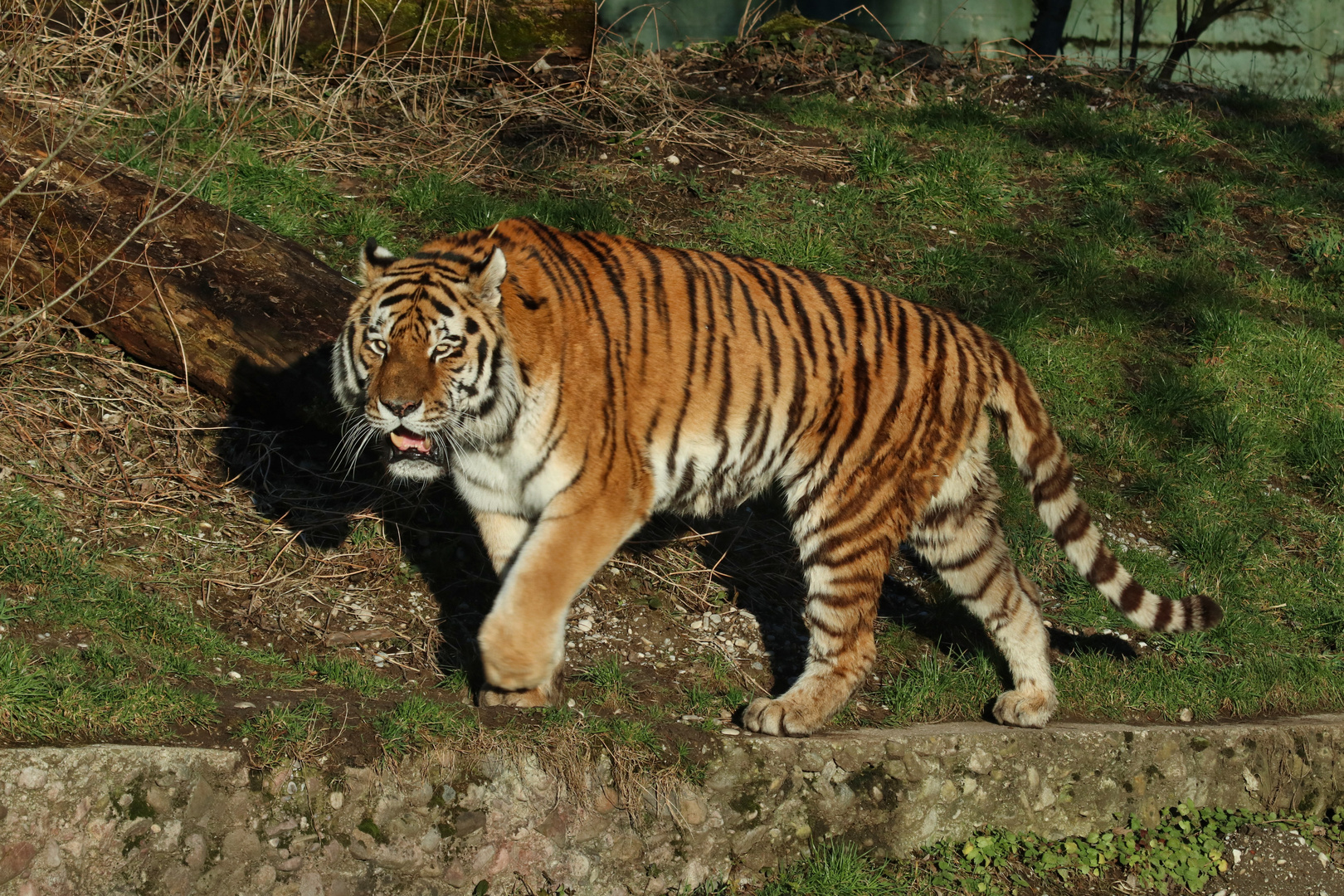 Tierpark Hellabrunn