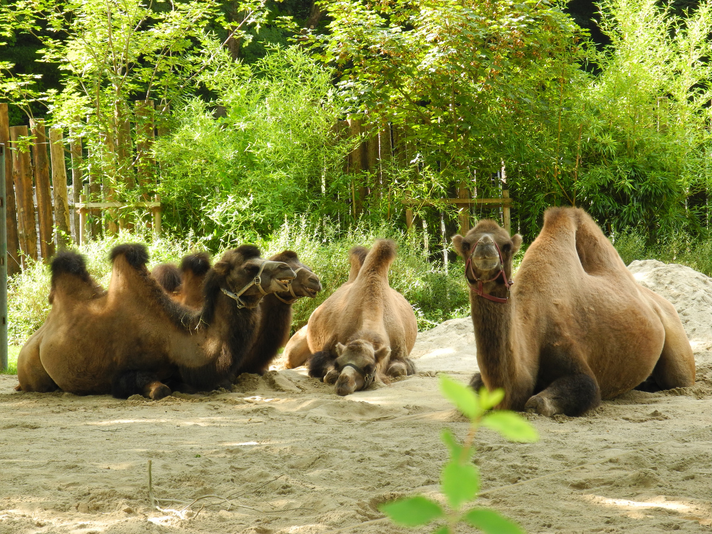 Tierpark Hellabrunn