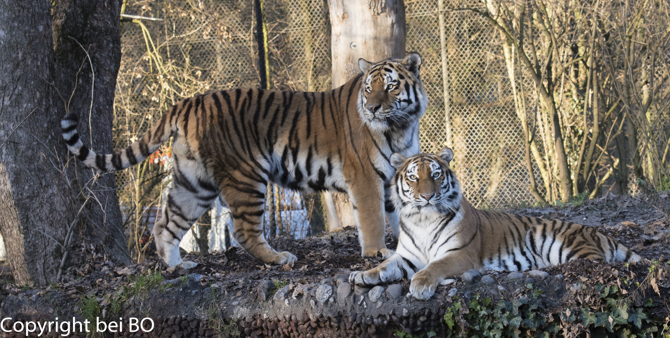 Tierpark-Hellabrunn