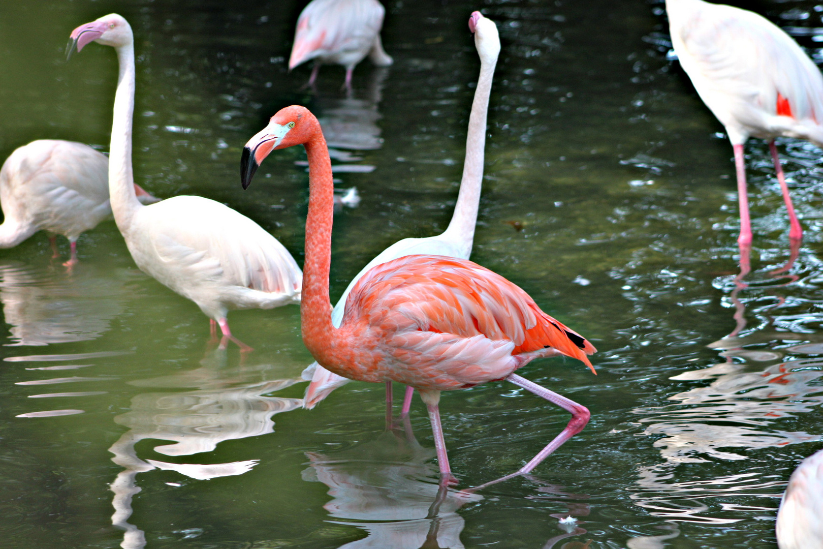 Tierpark Hellabrunn