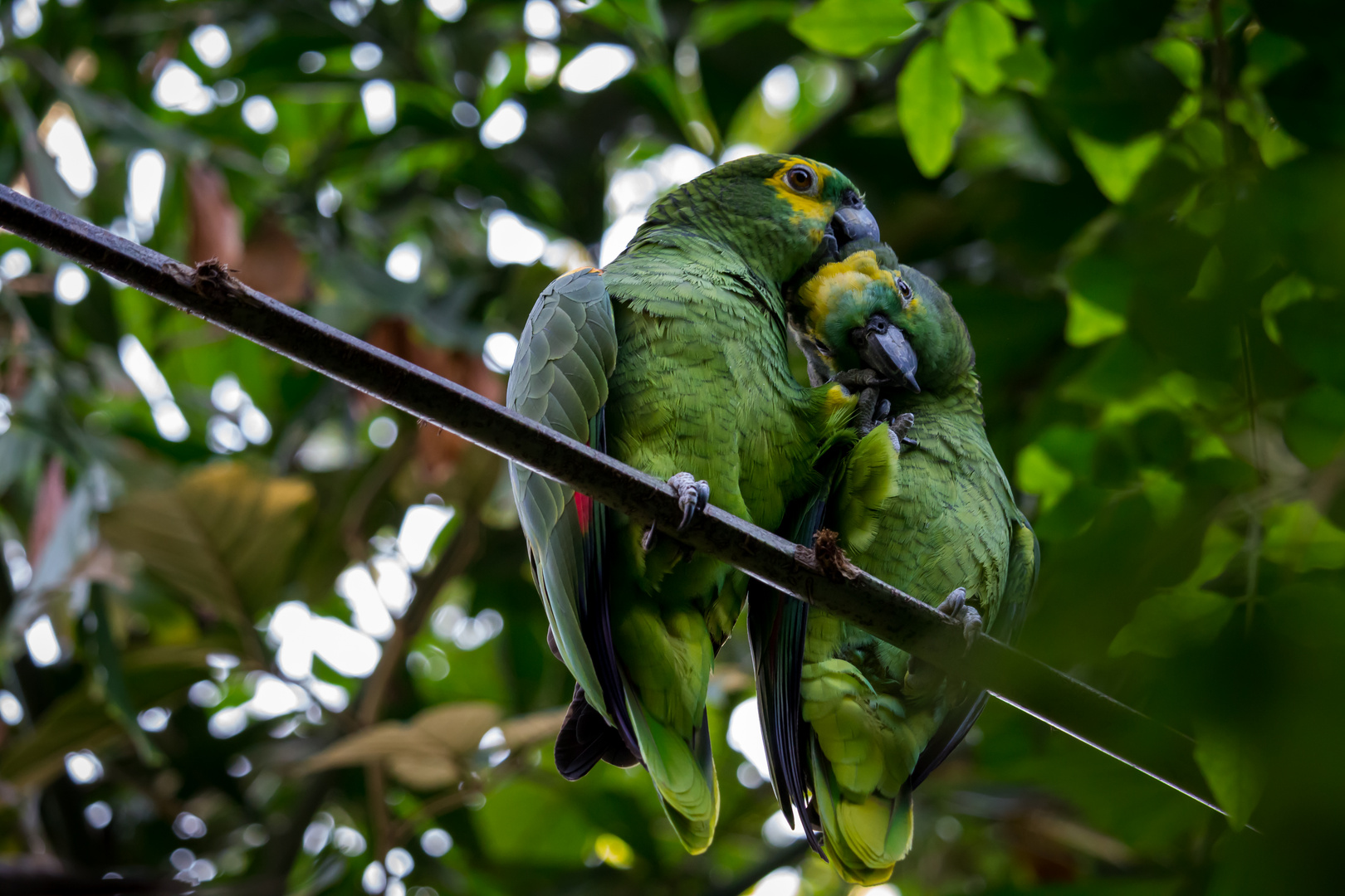 Tierpark Hellabrunn