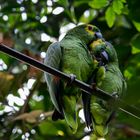 Tierpark Hellabrunn