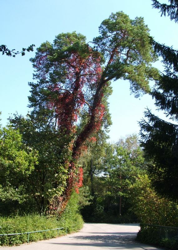 Tierpark Hellabrunn