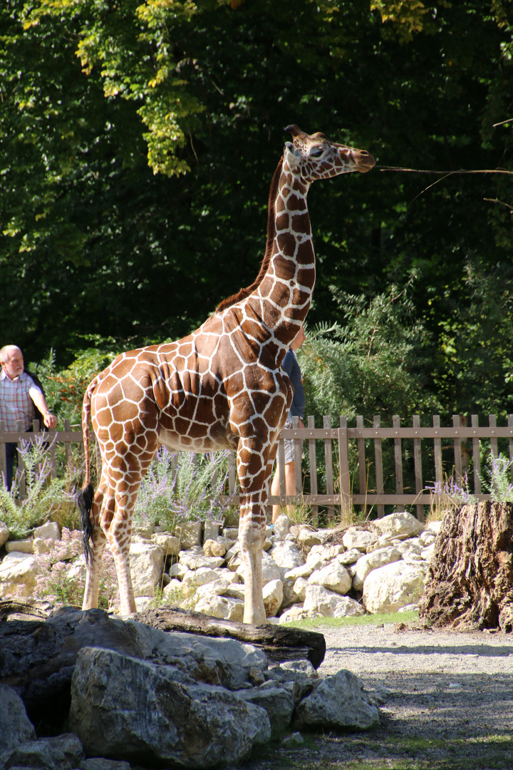 Tierpark Hellabrunn 810