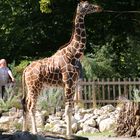 Tierpark Hellabrunn 810