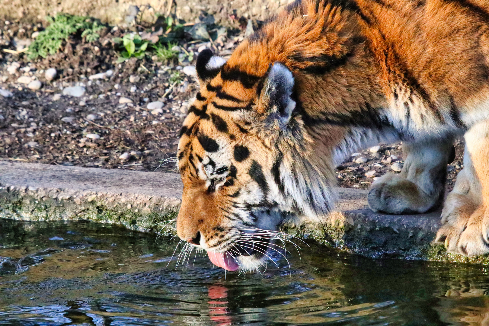 Tierpark Hellabrunn