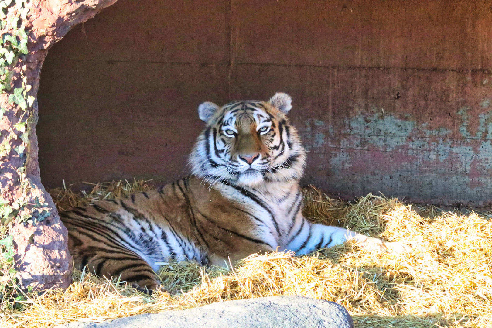 Tierpark Hellabrunn