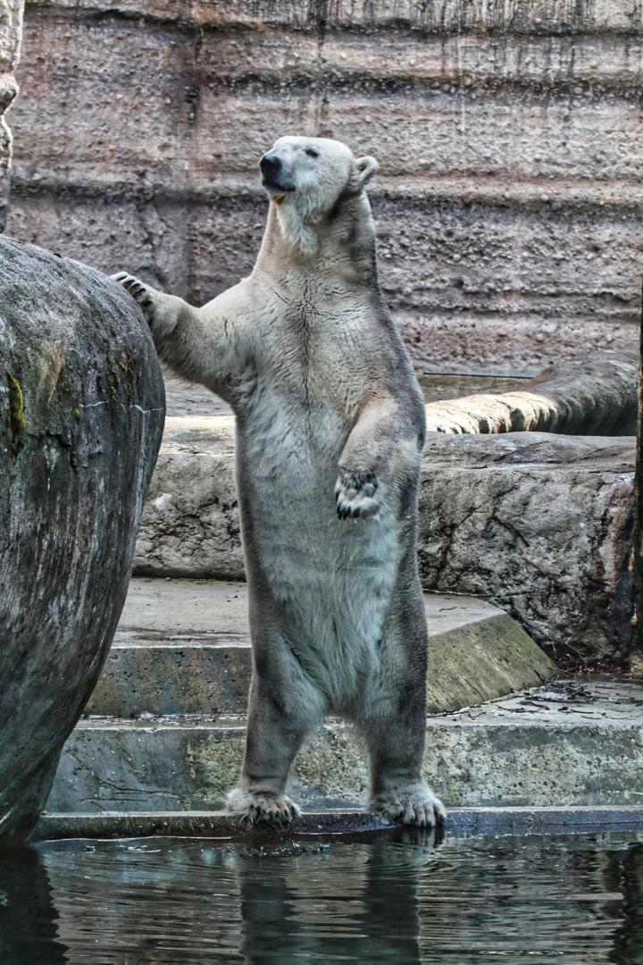 Tierpark Hellabrunn