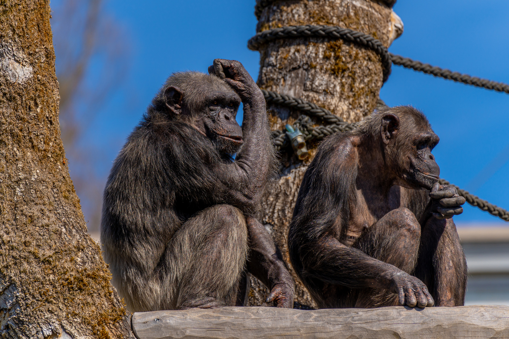 Tierpark Hellabrunn