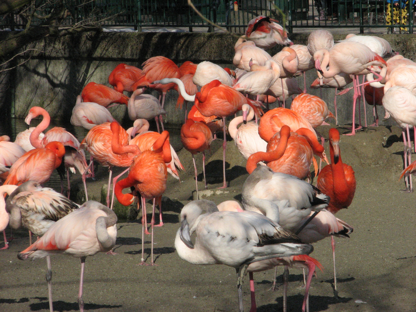 Tierpark Hellabrunn