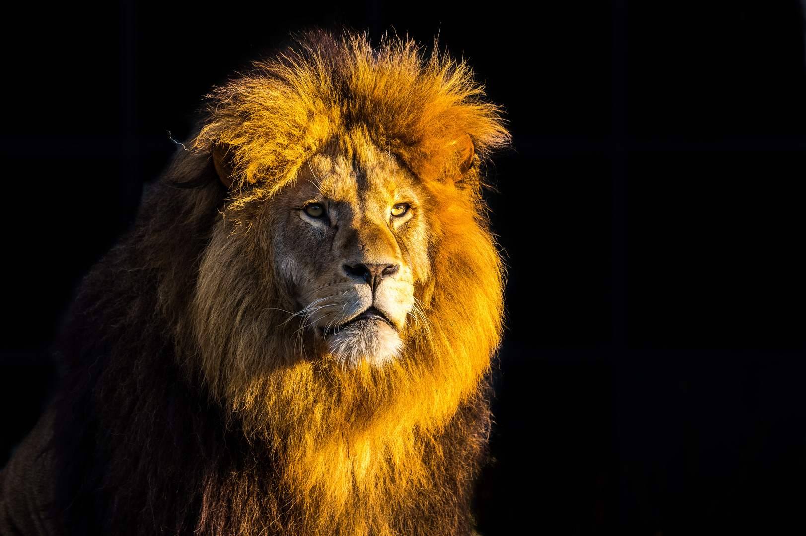 Tierpark Hellabrunn - München