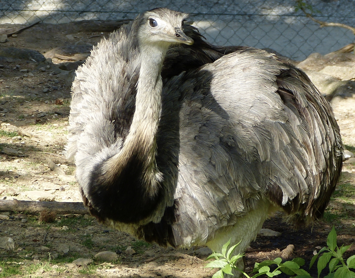 Tierpark Herberstein