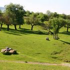 tierpark herberstein