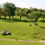 tierpark herberstein