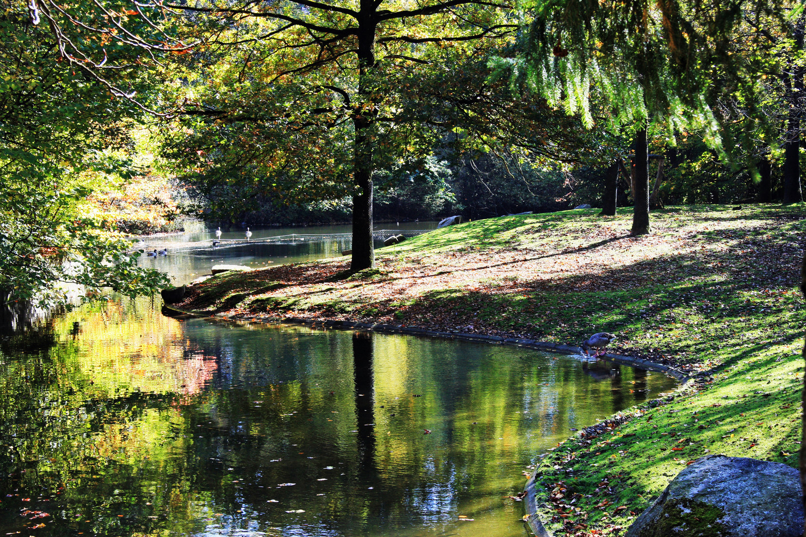 Tierpark- Herbststimmung 2