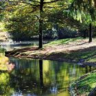 Tierpark- Herbststimmung 2