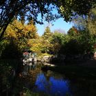 Tierpark- Herbststimmung