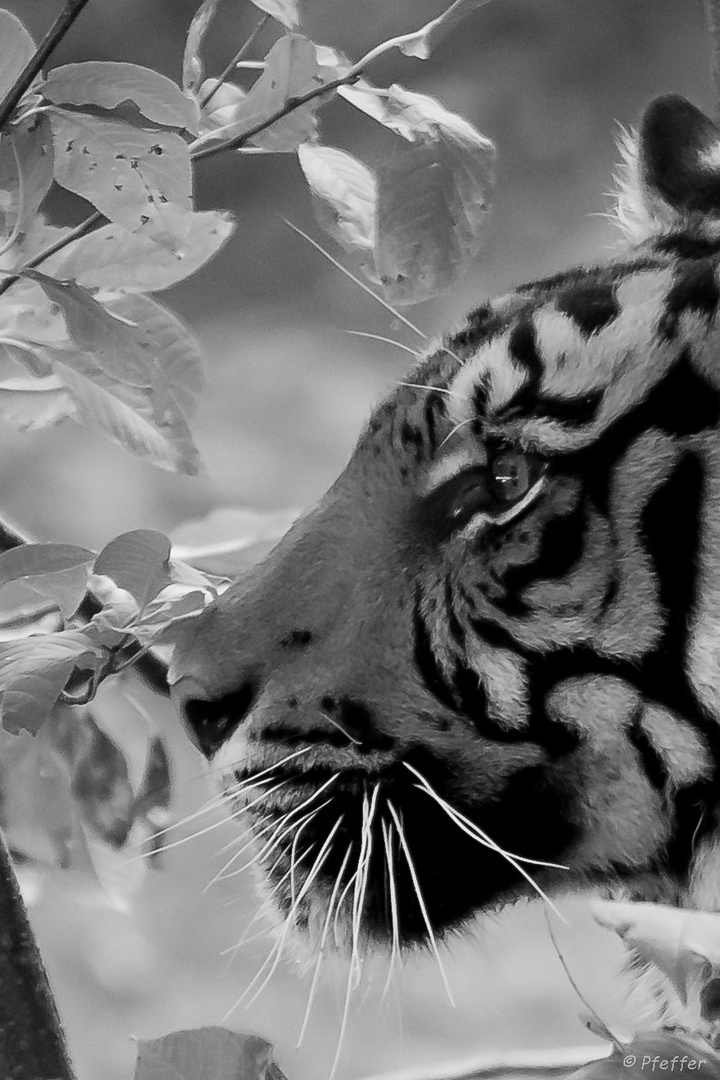 Tierpark Impressionen Augsburg IV