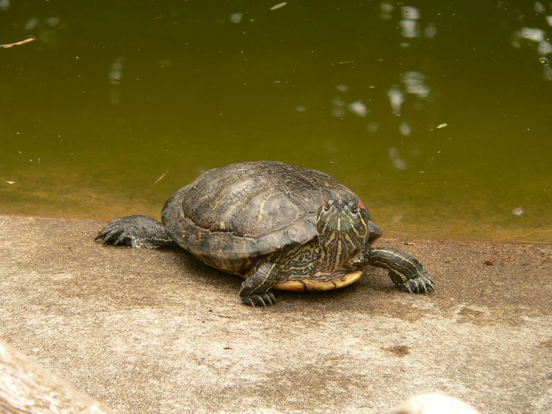 Tierpark-Impressionen II