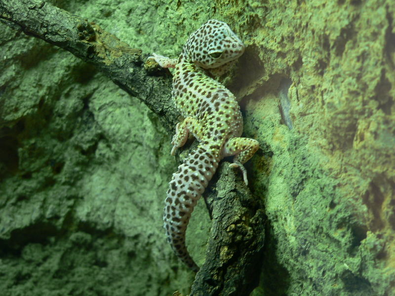 Tierpark-Impressionen III