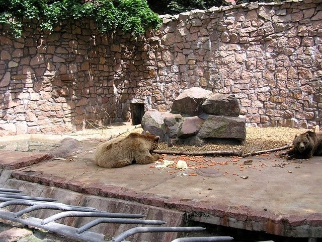 Tierpark in Dessau